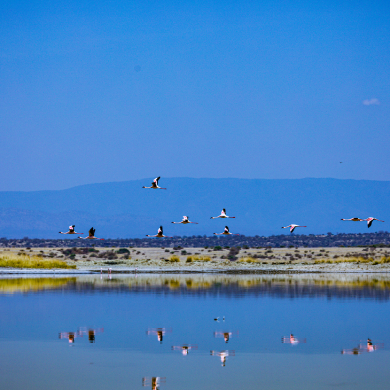 magadi